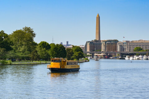 Potomac River ranks No. 1 on new list of ‘Most Endangered Rivers’