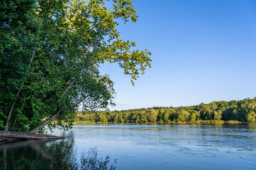 The forested banks of the Potomac River in Maryland during golden hour