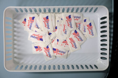 Nearly 17,000 early voting ballots cast in Prince William for redistricting referendum