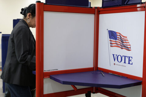 Virginians head to polls to decide fate of proposed new congressional districts