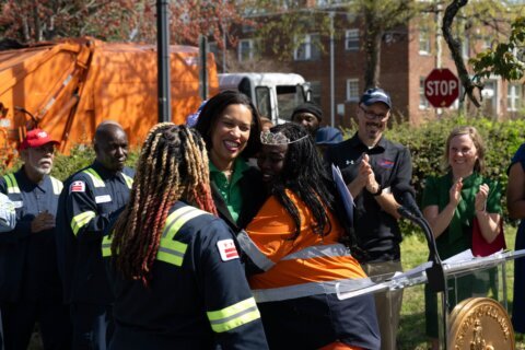 DC spring cleanup underway, with road repairs and rat control efforts