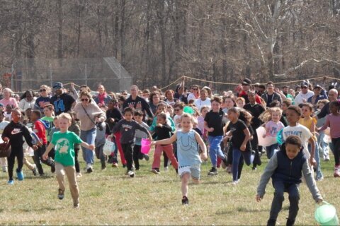 Children race to gather marshmallows dropped from a helicopter at pair of Michigan parks