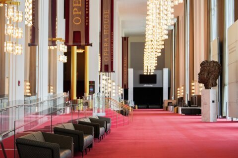 Cultural groups urge federal judge to block Kennedy Center renovations