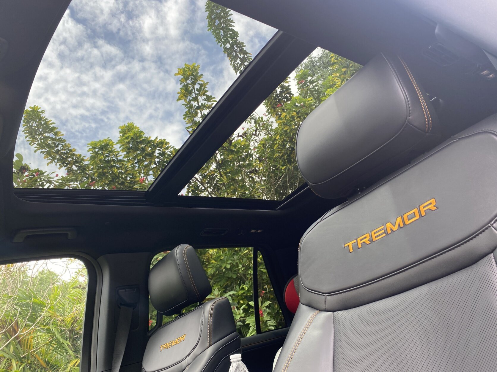 Ford Expedition Tremor