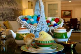 Chicks enjoying high tea