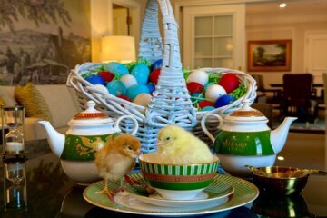 Chicks enjoying high tea