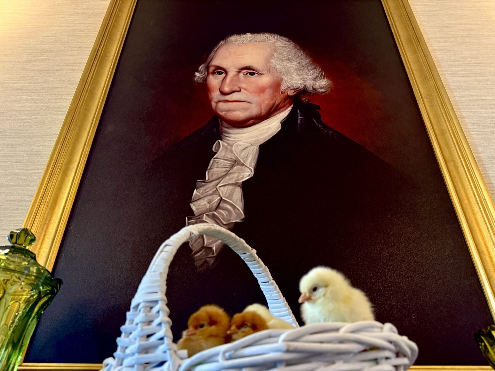 Chicks in front of George Washington portrait