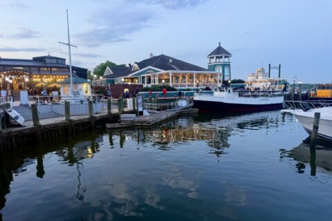 Georgia lawmaker wants to make Arlington and Alexandria part of DC