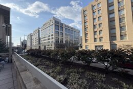 Urban geographer Lisa Benton‑Short, a professor emerita at George Washington University, believes moments like this have helped shape D.C. neighborhoods before.