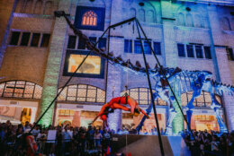 ROM After Dark event at the Royal Ontario Museum