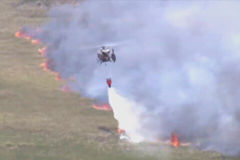 Wildfires across Georgia and Florida have destroyed nearly 50 homes and are forcing evacuations