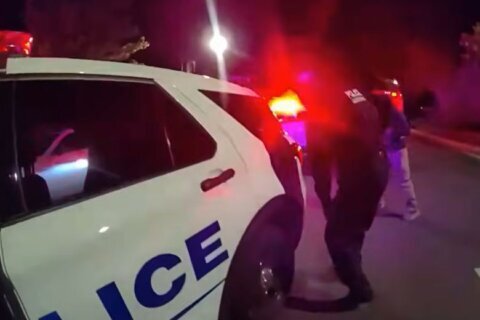 footage from outside police cruiser