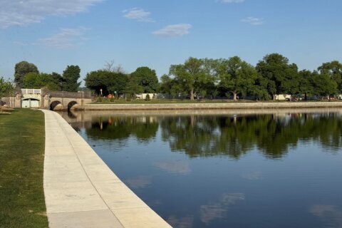 Tidal Basin fully reopened after sea wall restoration