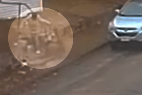 Zorro ataca a una mujer frente a su casa; todo queda registrado en video