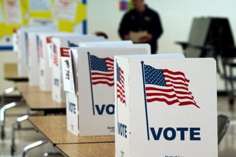 Sólida participación marca el inicio del voto anticipado del referendo en Virginia