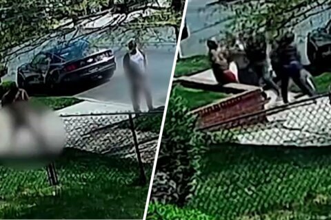 Perro orina en patio de vecino y tres personas terminan apuñaladas en Queens