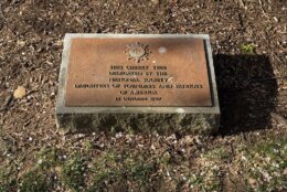 living memorial dedicated by National Society Daughters of Founders and Patriots of America