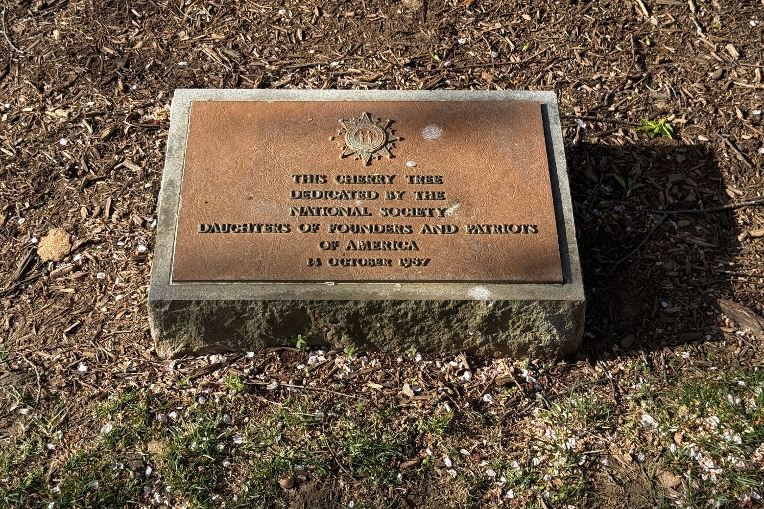 living memorial dedicated by National Society Daughters of Founders and Patriots of America