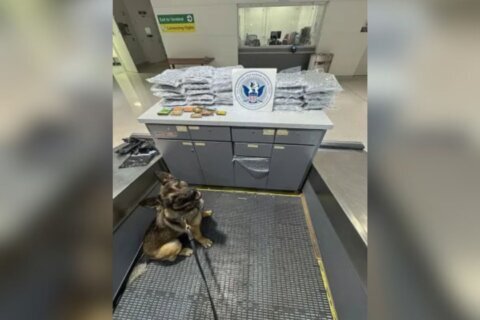 247 pounds of marijuana intercepted at BWI Marshall in four London-bound flights