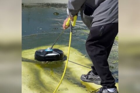 DC public pool clean up is underway