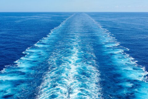 Identifican a la mujer que cayó desde un crucero durante un viaje en Bahamas