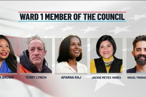 Primarias en DC: estos son los 5 candidatos demócratas que compiten por el Distrito 1