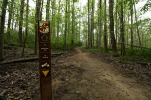 Trail marker at Patapsco Valley State Park