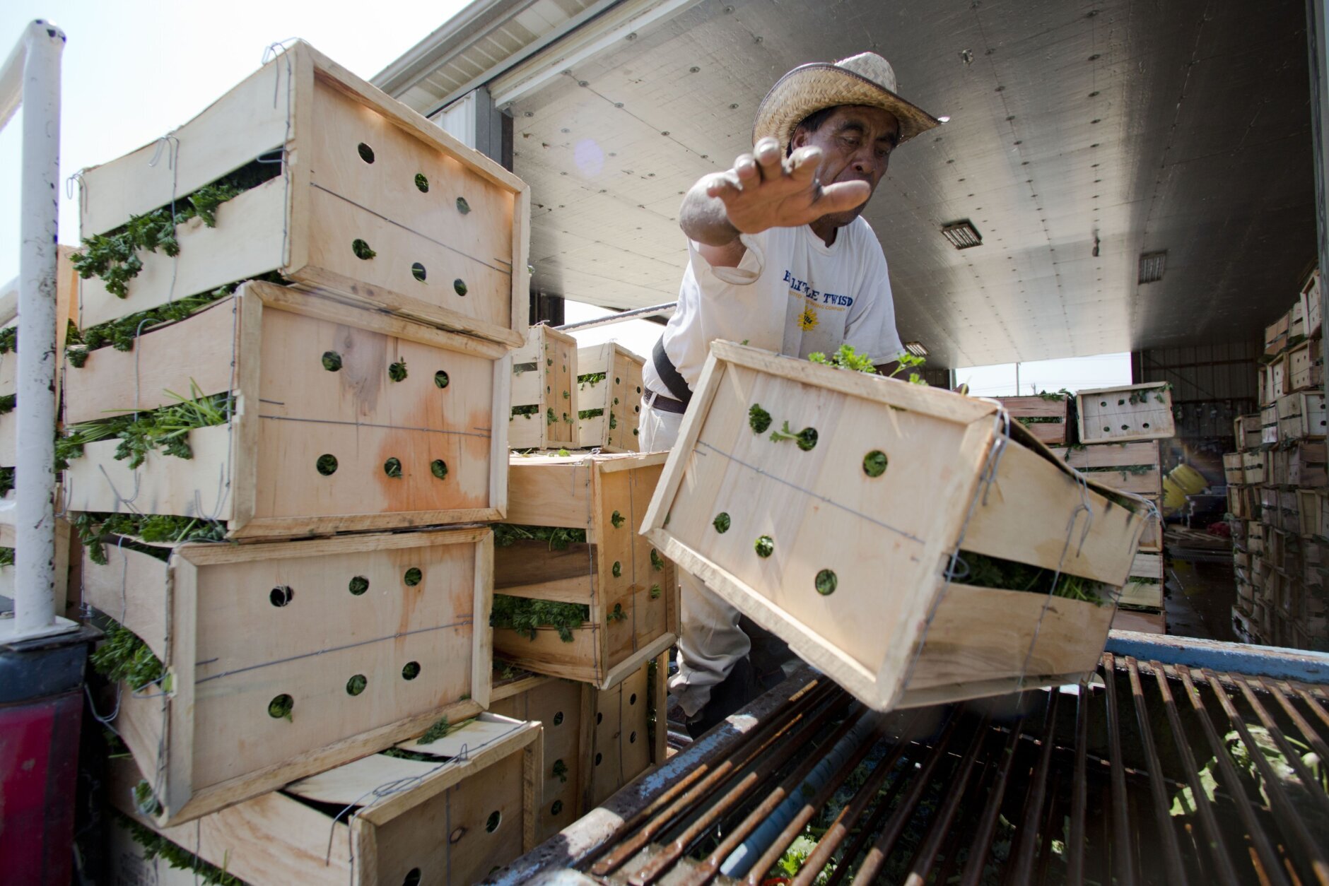 Growth of local foods