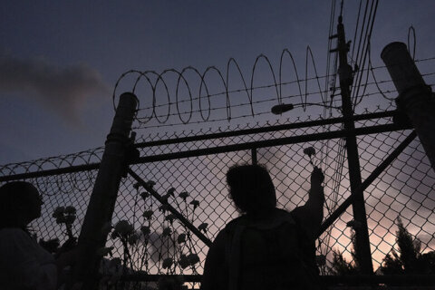 ICE detainees are dying by suicide at an ‘alarming’ rate, an AP investigation finds