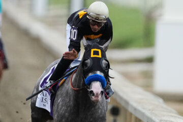 Jockey Paco Lopez pats Napoleon Solo