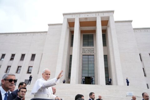 Pope decries the rise of AI-directed warfare, saying it leads to a spiral of annihilation