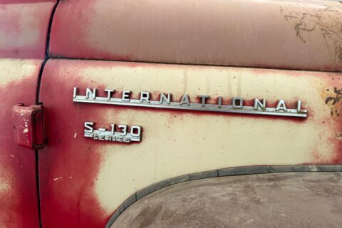 In farm country, an old American pickup truck becomes more than a workhorse