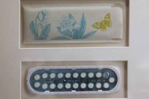 By changing women’s lives, the pill changed the nation
