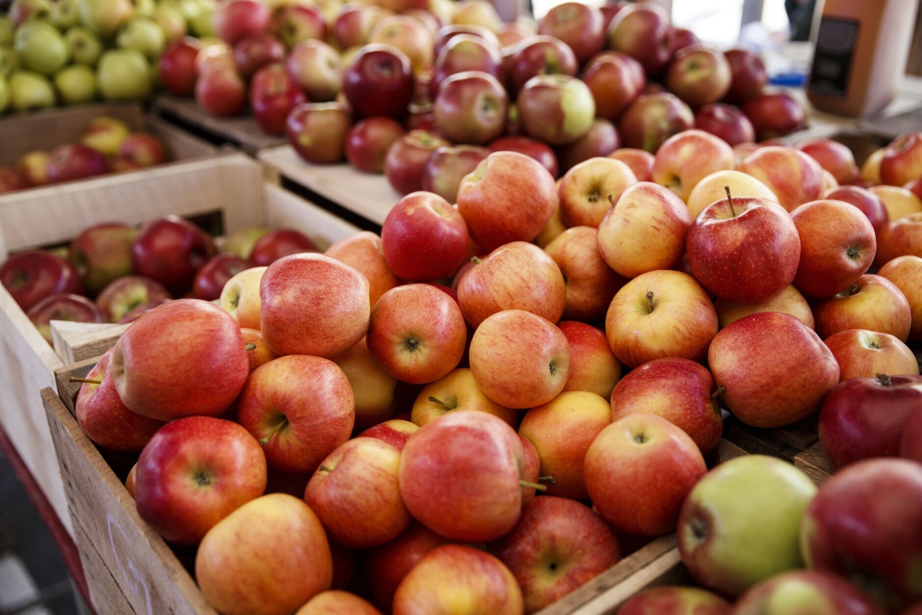 Farmers Market