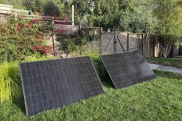 A pair of solar panels stand upright in a backyard.