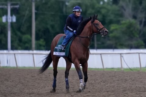 The 2026 Preakness Stakes includes a change of venue and homegrown talent