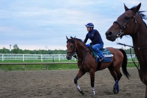 The Preakness at Laurel Park has a little bit of everything but the Kentucky Derby winner