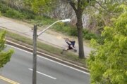 Cambridge Shooting