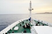 Cape Verde Hantavirus Ship