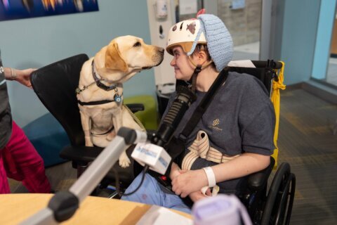 Good dog! More children’s hospitals turn to furry caregivers to help kids heal
