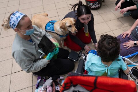 Healing with a wag and a nuzzle, meet the dogs brightening hospital days, in photos