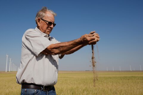Kansas farmers pulled by weather extremes and growing costs, wheat crop could be worst since 1972