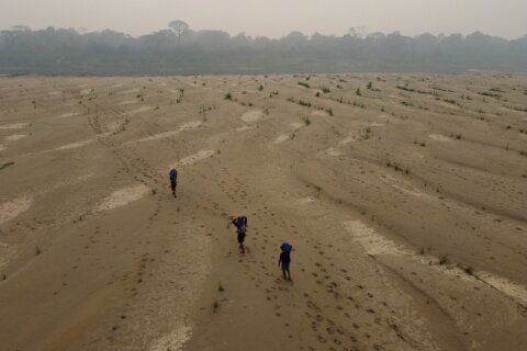 Think it’s hot now? The next five years will smash records, UN says