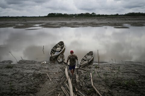 Scientists find climate change is reducing oxygen in rivers worldwide