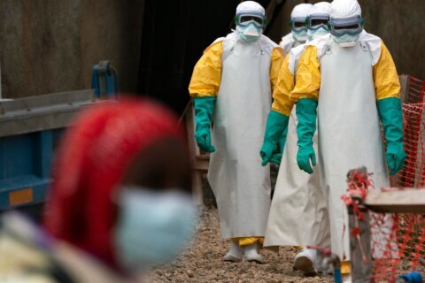 Ebola and hantavirus have Africa talking ‘health sovereignty’ as donor support fades
