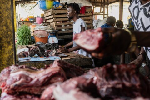 As Ebola scourges Congo, experts warn of link to eating wild animals