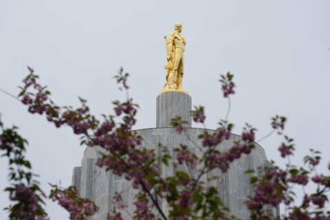 AP Decision Notes: What to expect in Oregon’s primaries