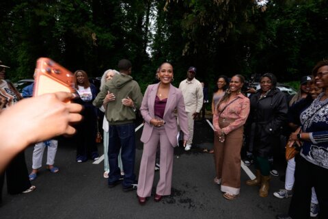 Georgia primary could be the starting gun for Democratic and Republican runoffs