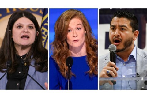 Michigan Democrats get a chance to make their case for the Senate and their party’s future