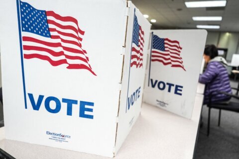 A person votes in the Virginia redistricting referendum